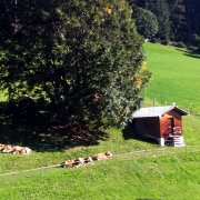 Foto Galerie Bauernhof